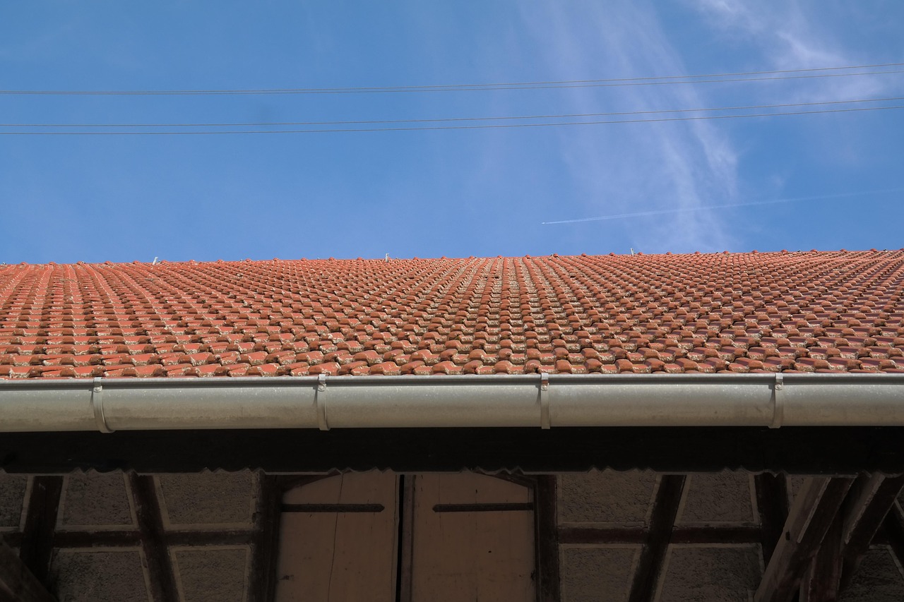 Gutter Cleaning NJ