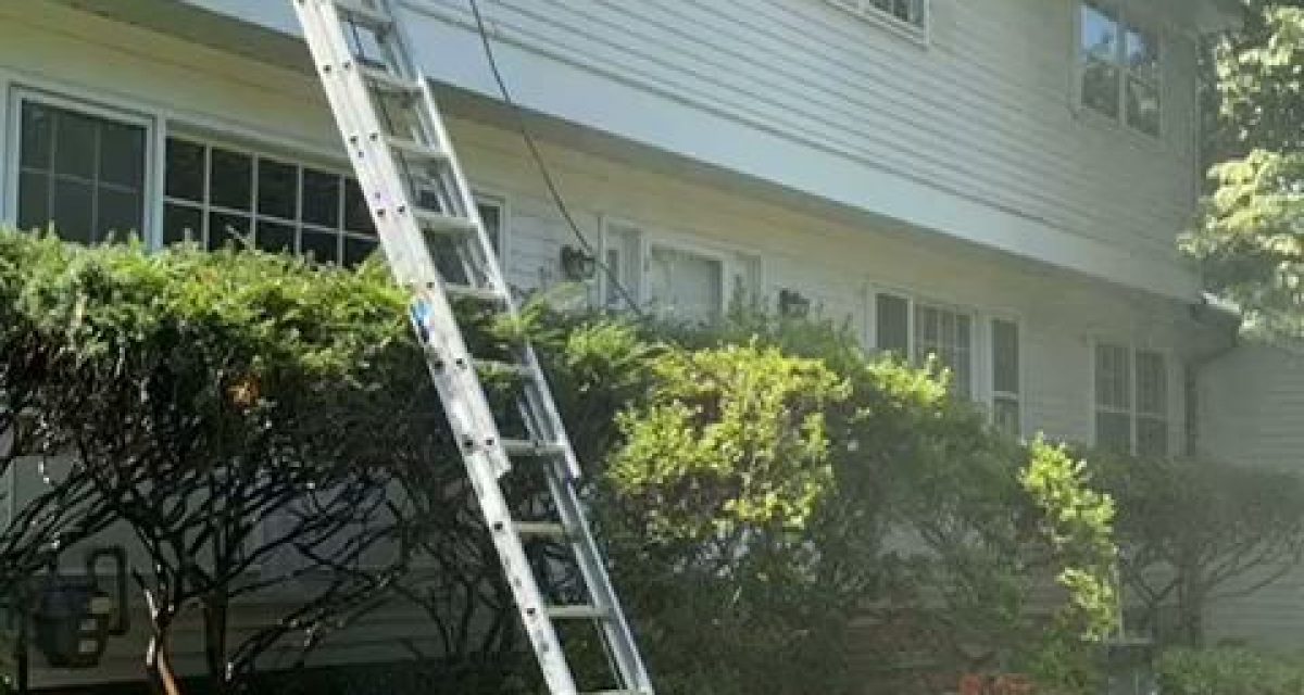 Attic Ventilation for Roof Longevity